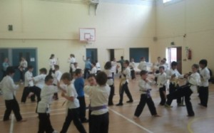 lisnagrykarate