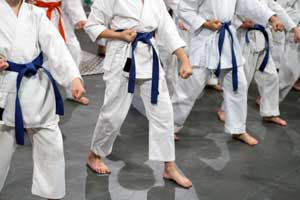 karate