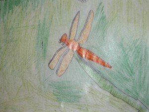 3rdclass-dragonflye