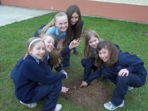 4thclass-planting-potatoes