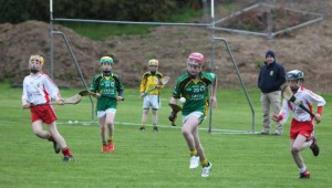 boys-hurling-e