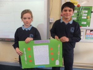 hist-project2-4th