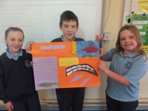 hist-project3-4th