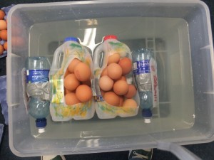 scienceweek6-4th