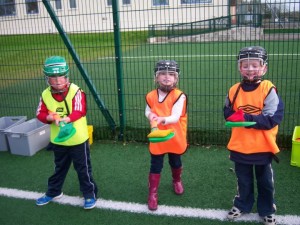 sens-hurling1