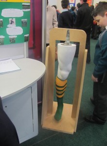 primarysciencefair-leg