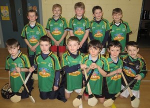 indoorhurling15.e