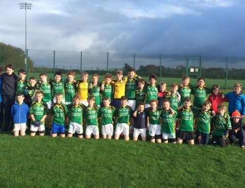 Lisnagry Boys into third successive County Football Final