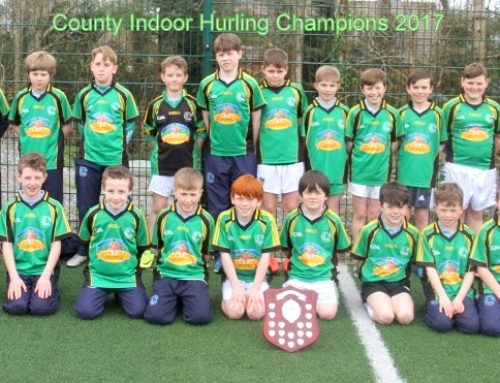 County Indoor Hurling Champions 2017