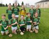 Mini-7's Hurling and Camogie