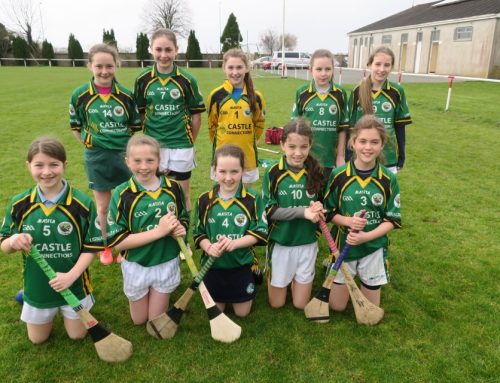 Mini-7’s Hurling and Camogie