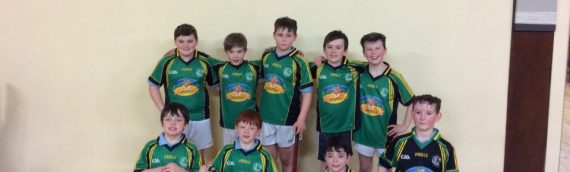 Indoor Hurling and Camogie 2017