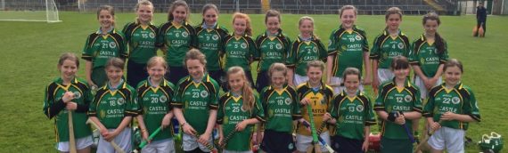 Hurling and Camogie Finalists