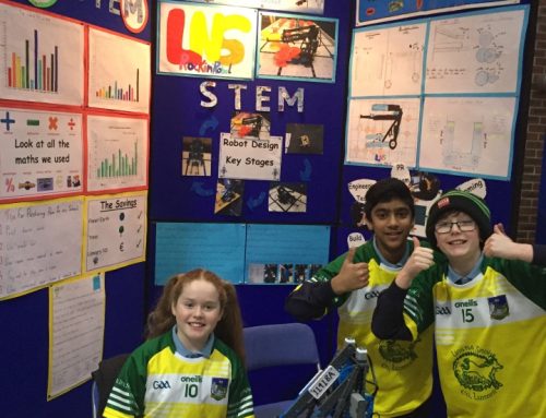 Stem Research Project