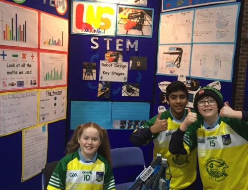 Stem Research Project