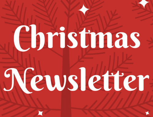 Christmas Newsletter 2022